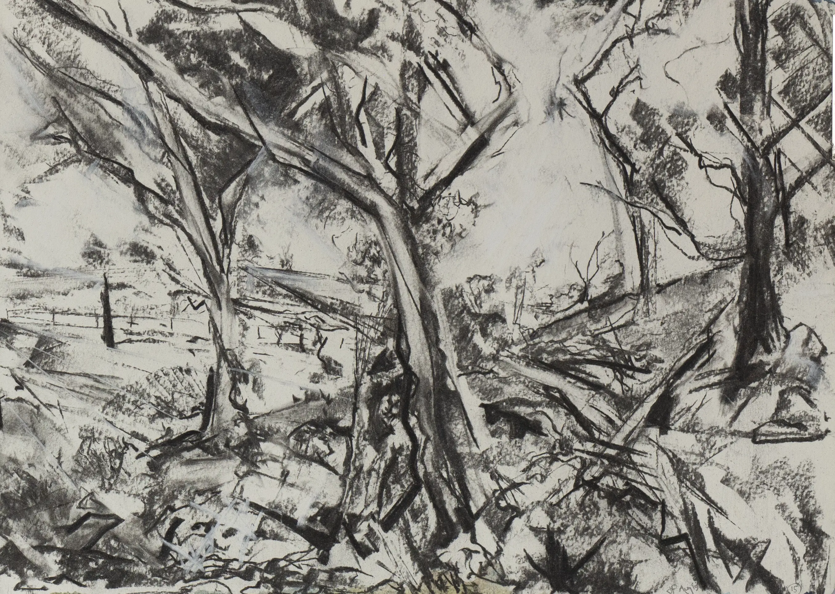 Landscape